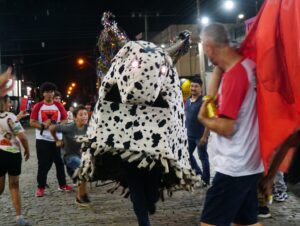 Encruzilhada do Sul mantém viva a tradição do Bumba Meu Boi