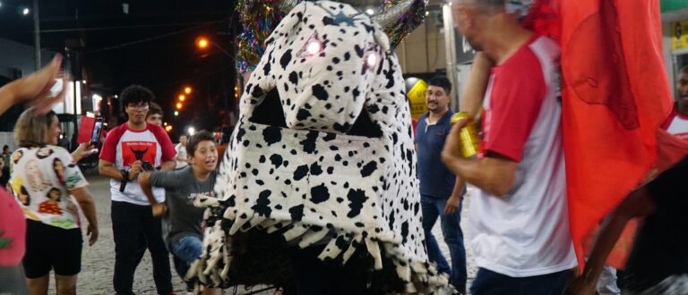 Encruzilhada do Sul mantém viva a tradição do Bumba Meu Boi