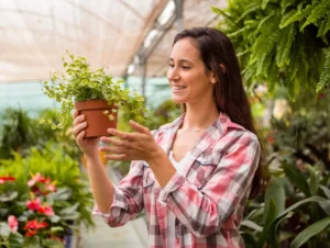 Como diminuir o estresse com a ajuda de 6 plantas que você mesmo pode cultivar