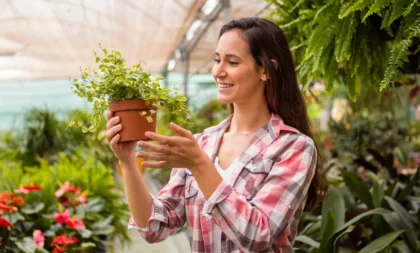 Como diminuir o estresse com a ajuda de 6 plantas que você mesmo pode cultivar