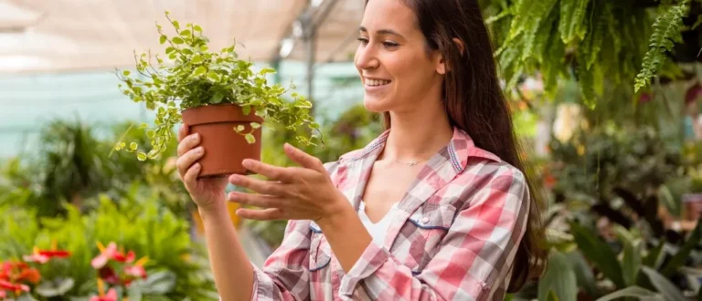 Como diminuir o estresse com a ajuda de 6 plantas que você mesmo pode cultivar