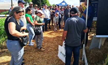 Dia de Campo reforça importância da conservação do solo para melhorar a produtividade do milho e da soja