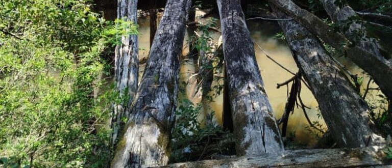 Comunidade do Piquiri espera por ponte há 10 anos