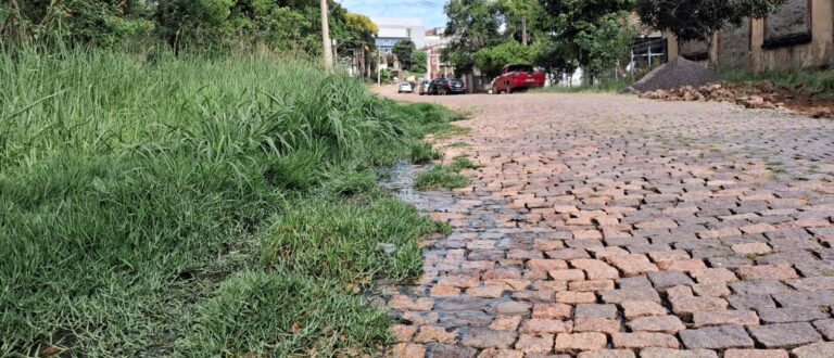 Esgoto a céu aberto e matagal tomam conta do acesso à Praia Velha