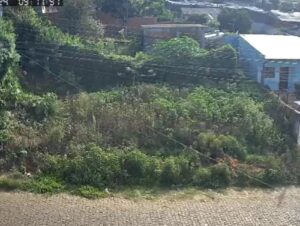 Terreno perto da casa do prefeito está tomado pelo matagal