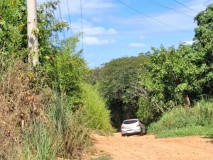 Projeto que revisa legislação sobre terrenos baldios vai à Câmara