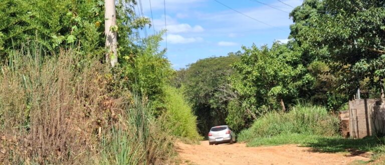 Projeto que revisa legislação sobre terrenos baldios vai à Câmara