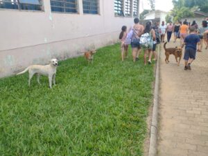 Escolas de Cachoeira do Sul pedem que pais mantenham cães presos na saída dos alunos