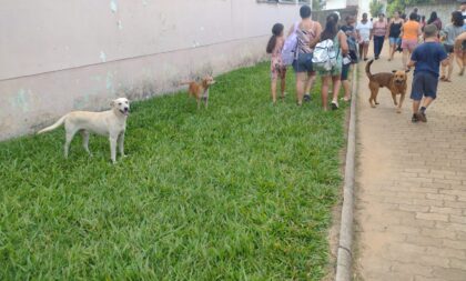 Escolas de Cachoeira do Sul pedem que pais mantenham cães presos na saída dos alunos