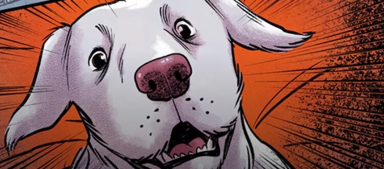 DC anuncia ‘Krypto: O Último Cão de Krypton’