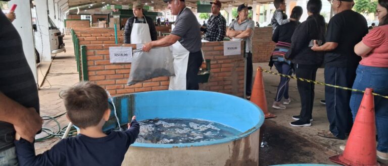 Carpas e tilápias são atração na Feira do Peixe Vivo