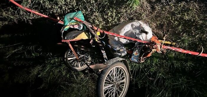 Colisão entre caminhão e charrete deixa dois feridos na BR-153