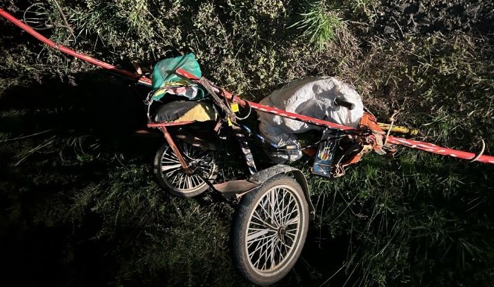 Acidente na BR-153: ocupantes de charrete pegaram carona com o caminhoneiro, que depois seguiu viagem / Foto: Divulgação