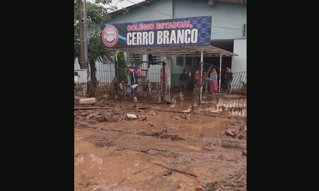 Crédito: Reprodução