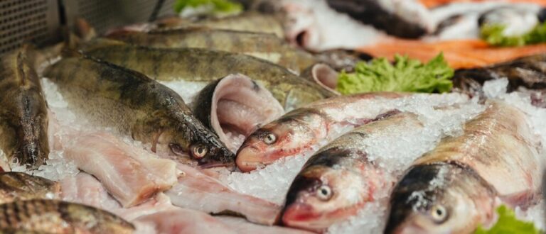 Feira do Peixe será nos dias 16 e 17