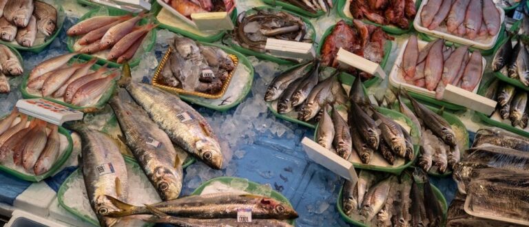 Feira do Peixe de Encruzilhada do Sul começa na segunda (14)