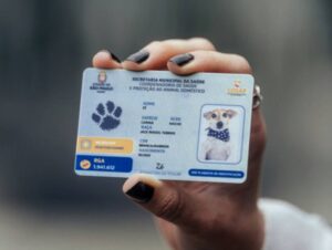 RG Animal: saiba tudo sobre a carteira de identidade para o seu pet