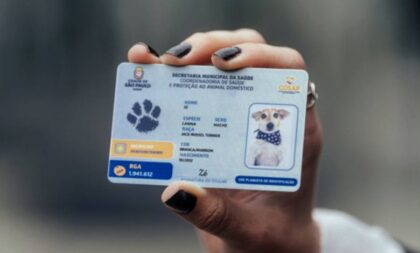 RG Animal: saiba tudo sobre a carteira de identidade para o seu pet