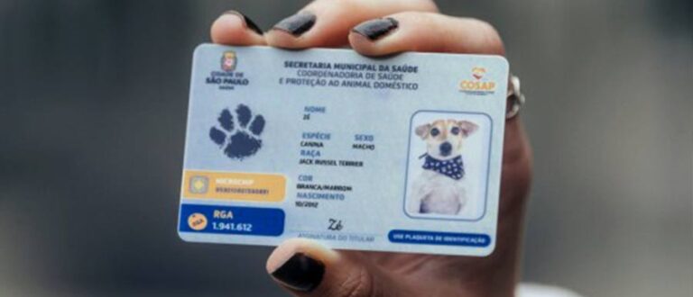 RG Animal: saiba tudo sobre a carteira de identidade para o seu pet