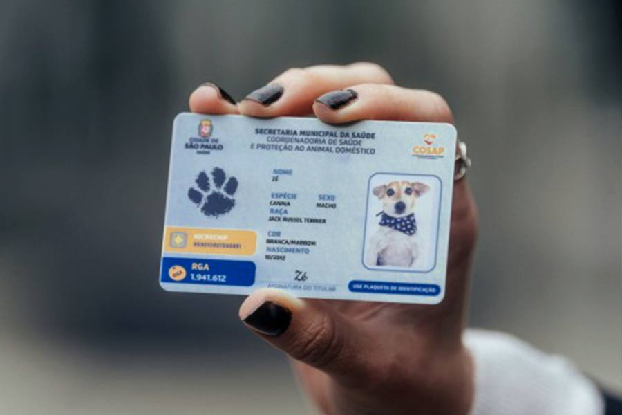 RG Animal: cadastro no chamado Sinpatinhas já está aberto e é voluntário e gratuito / Foto: Divulgação