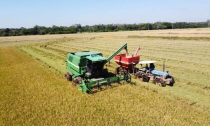 Engenheiro agrônomo da Emater avalia safra de arroz, milho e soja