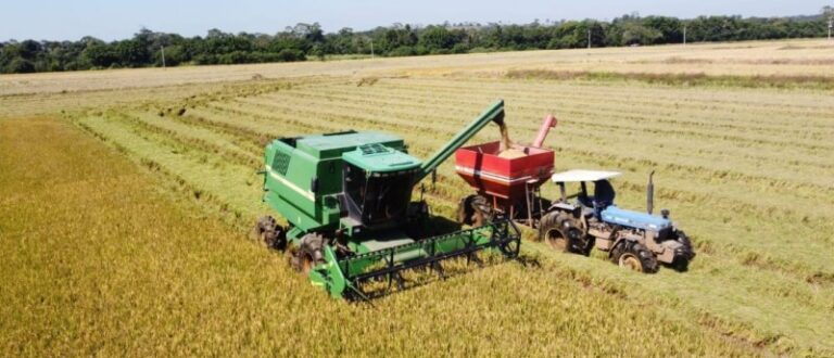 Engenheiro agrônomo da Emater avalia safra de arroz, milho e soja