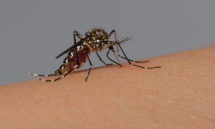 Dengue causa segundo óbito em Cachoeira do Sul em 2025