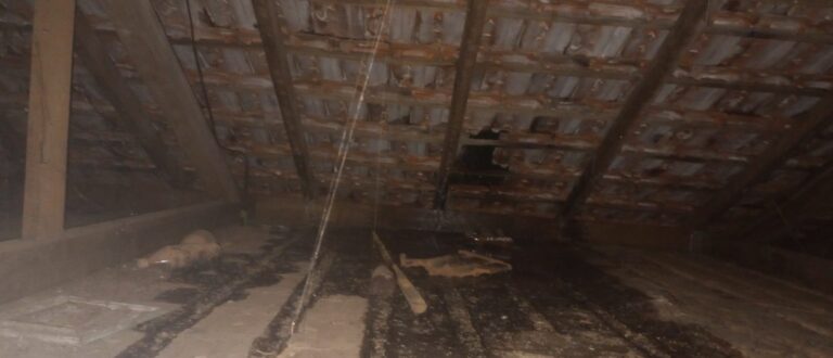Temporal: Cachoeira do Sul registra destelhamento e casas alagadas