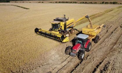 Arroz: Região chega a 84% da área colhida