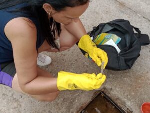 Tem mutirão de combate à dengue esta quinta (8) no Ponche Verde