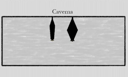 Caverna: vida longa