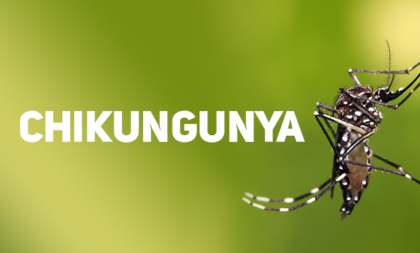 Cachoeira do Sul registra primeiros casos de febre chikungunya