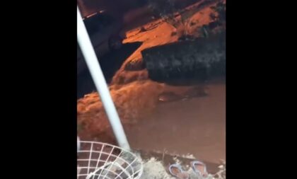 Temporal causa alagamento em casas de Dona Francisca