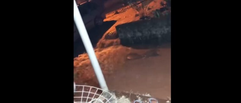 Temporal causa alagamento em casas de Dona Francisca