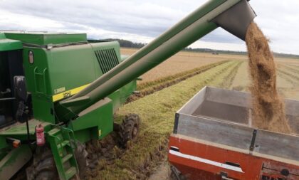 Região: colheita do arroz está próxima da conclusão