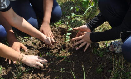 Dia do Meio Ambiente: Afubra realiza ações em Cachoeira do Sul