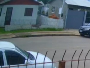 Veado é visto ao percorrer rua no Bairro Noêmia