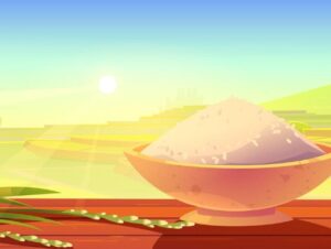 FEIRA DO ARROZ! – Jeferson Francisco Selbach