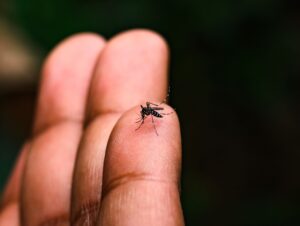 Novo Cabrais contra a dengue: nova fase de combate começa nesta segunda (2)