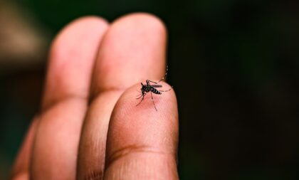 Novo Cabrais contra a dengue: nova fase de combate começa nesta segunda (2)