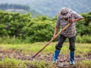 Seminário de Turismo Rural e Desenvolvimento Regional será no dia 21