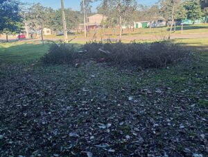 Lixo e animais peçonhentos: Praça do Promorar preocupa moradores