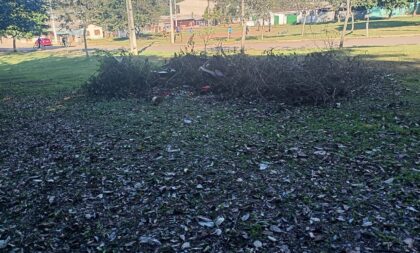 Lixo e animais peçonhentos: Praça do Promorar preocupa moradores